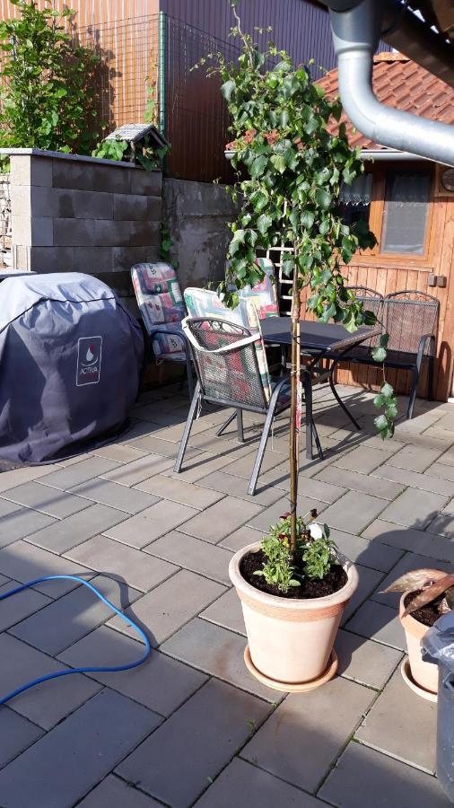 Apartman U Potoka Sadov Dış mekan fotoğraf